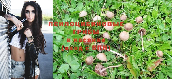 не бодяженный Володарск